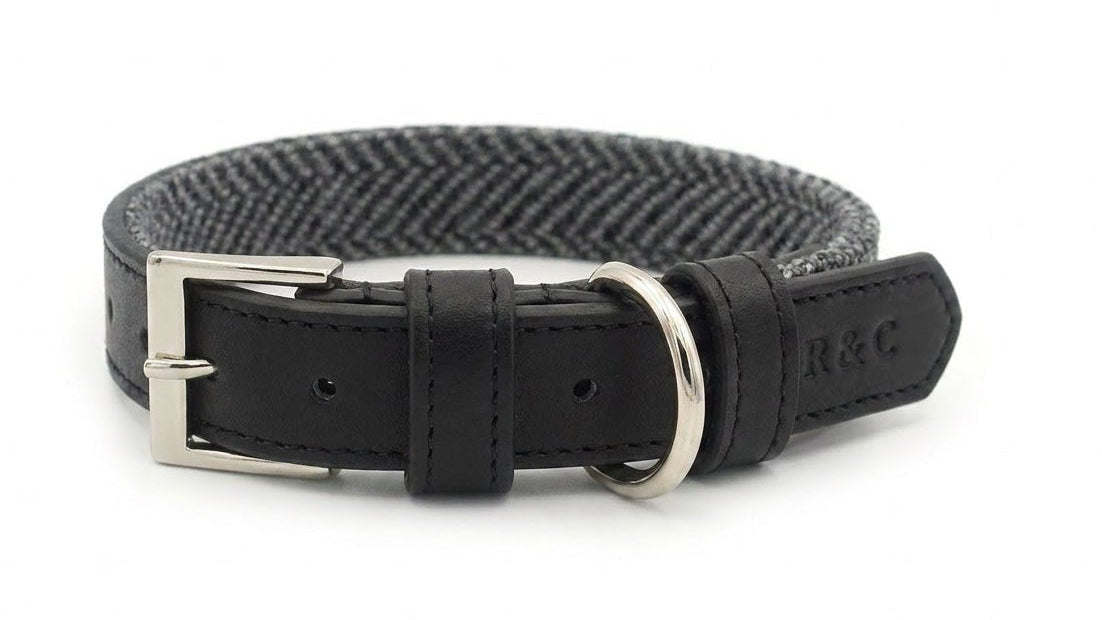 Ralph & Co Herringbone Leather Dog Collar - Balmoral