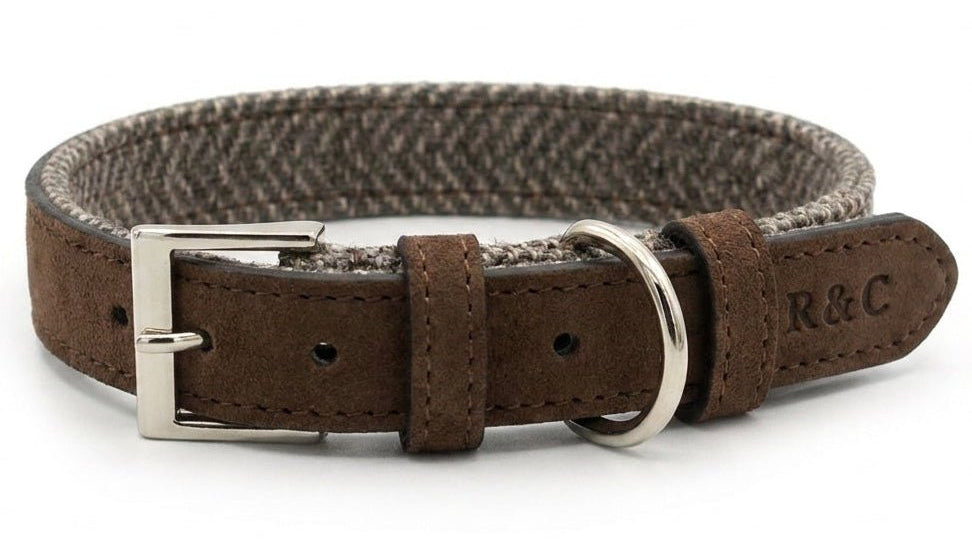 Ralph & Co Herringbone Leather Dog Collar - Lincoln