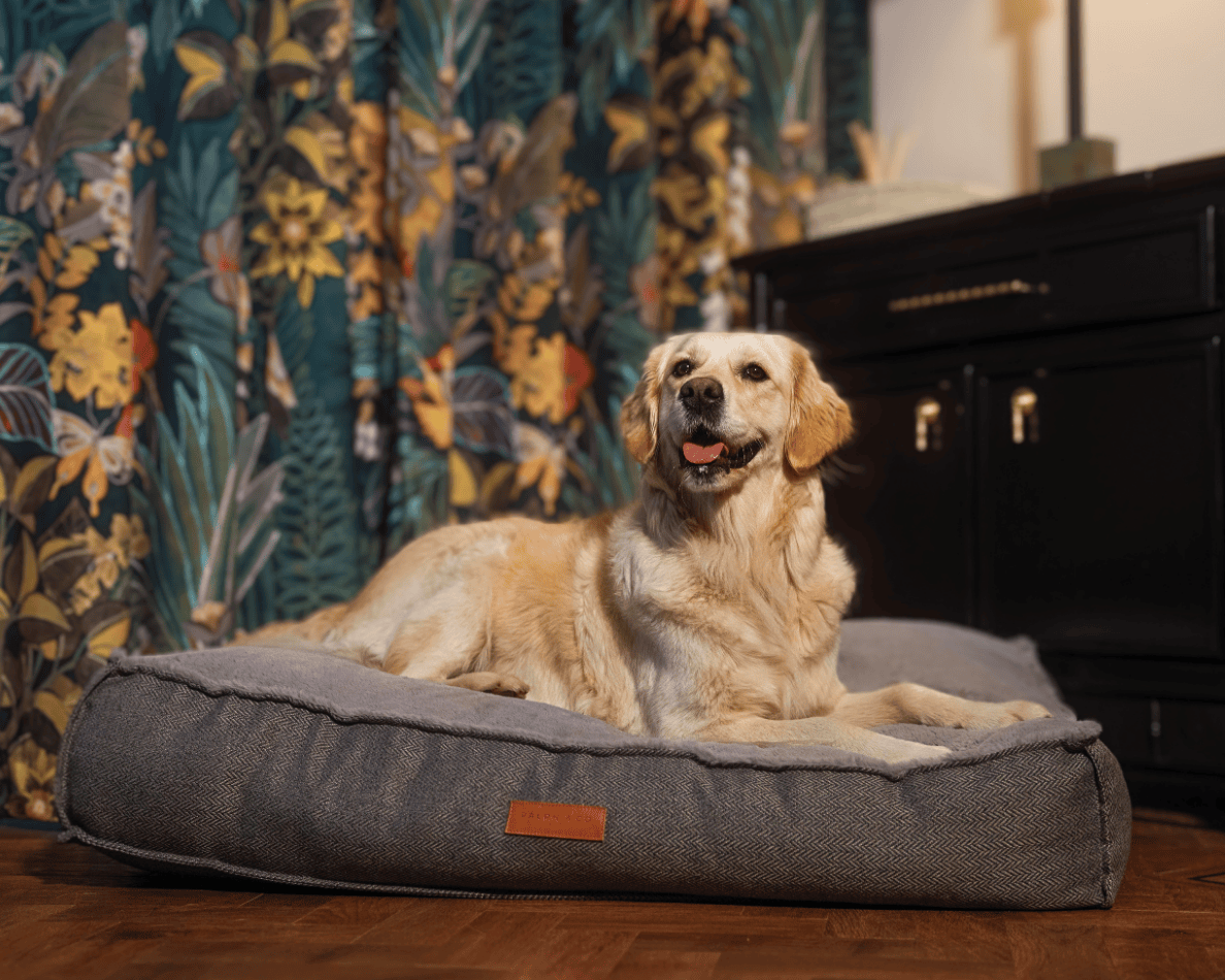 Ralph & Co Balmoral Luxury Pillow Dog Bed