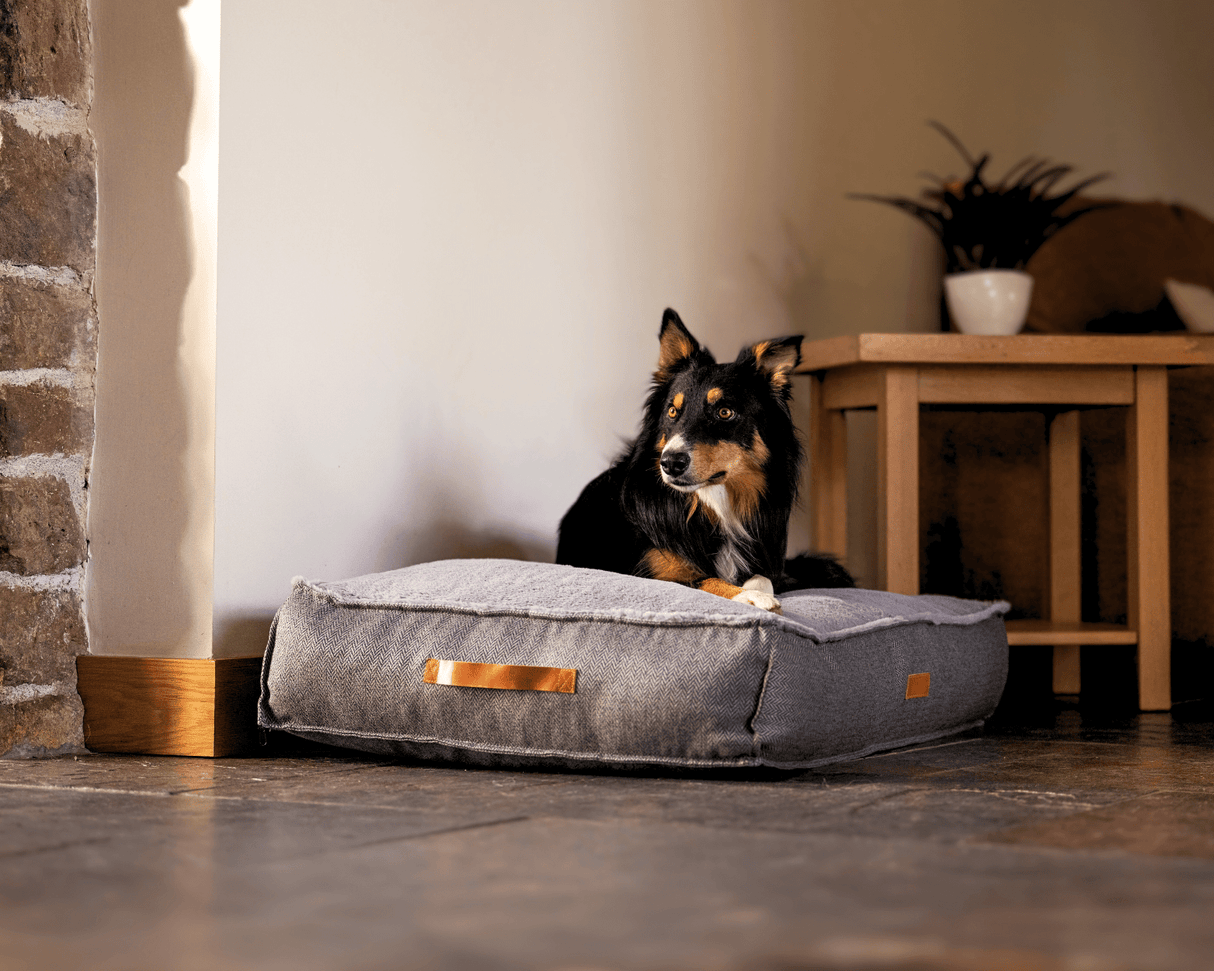 Ralph & Co Balmoral Luxury Pillow Dog Bed
