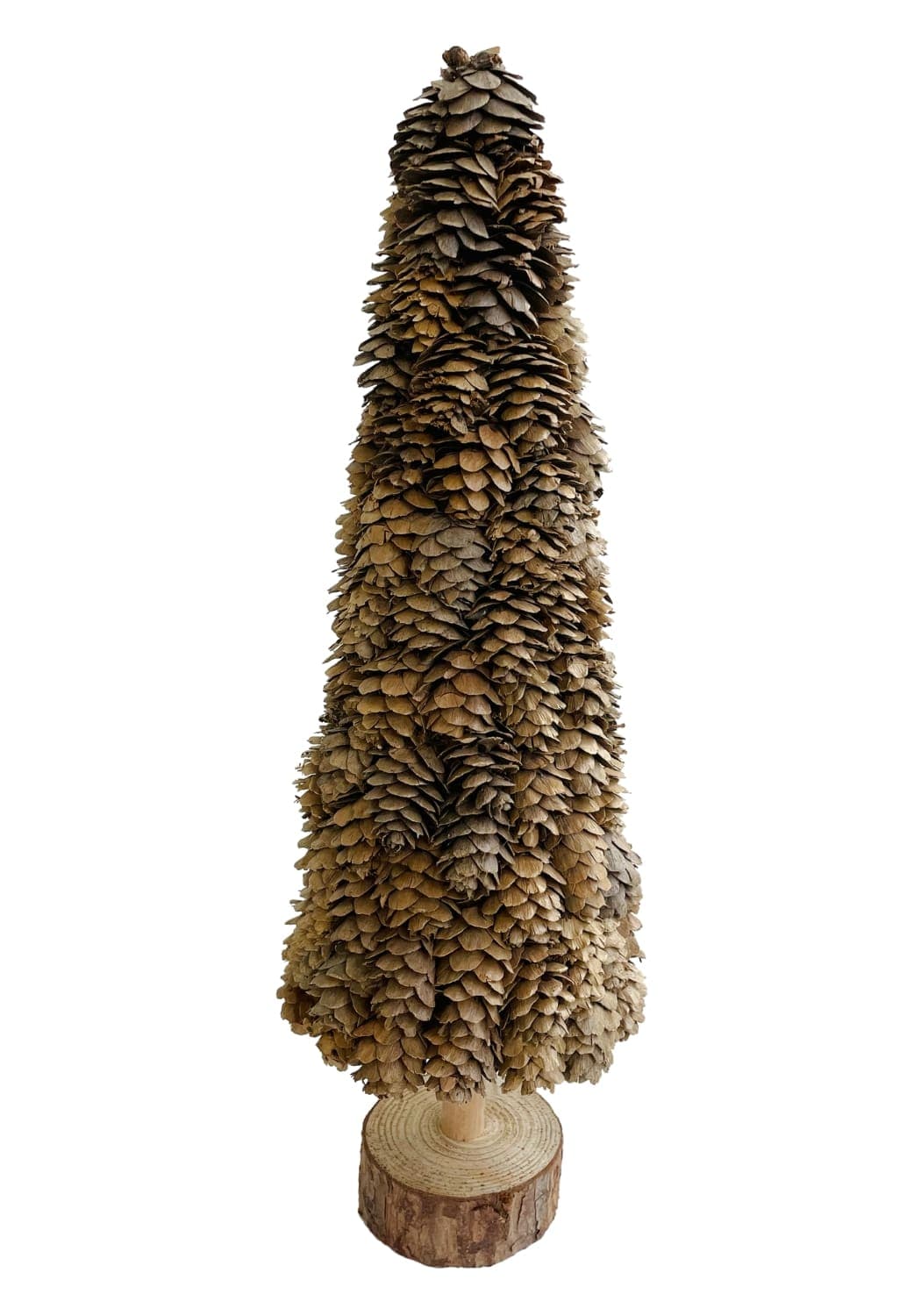 Holly Evergreen Tree by Casa by Josephine Jenno