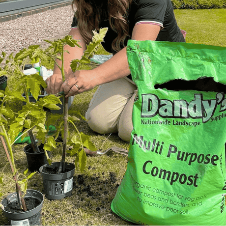 Dandy’s Multi‑Purpose Welsh Compost