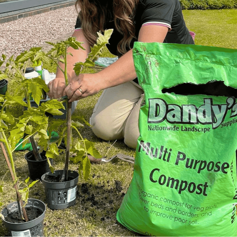 Dandy’s Multi‑Purpose Welsh Compost