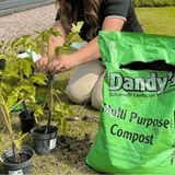 Dandy’s Multi‑Purpose Welsh Compost