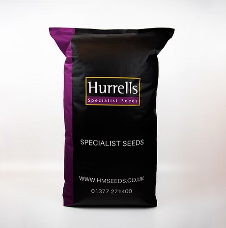 TurfStore BG2 Green Baize Bowling Green Grass Seed Mix for Fine Turf