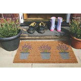 Outdoor Lavender Coir Insert 23x53cm