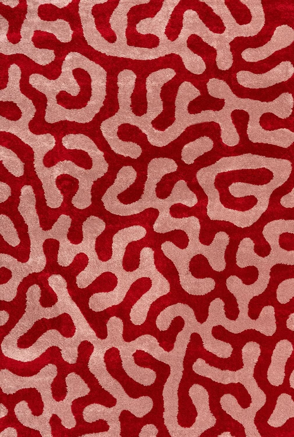 The Rugs Joli Doodle Red Pink Rug