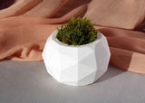 Gloria Home White Concrete Diagonal Pot