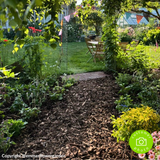 Dandy’s Landscaping Garden Bark Mulch