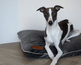 Ralph & Co Luxury Grey Memory Foam Crate Bed
