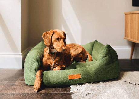 Ralph & Co Richmond Luxury Green Dog Bed