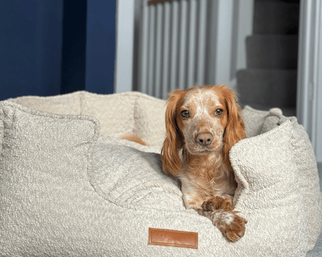 Ralph & Co Cotswold Luxury Boucle Dog Bed
