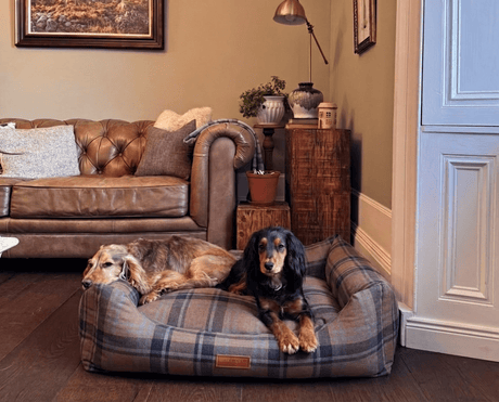 Ralph & Co Marlow Luxury Tartan Dog Bed
