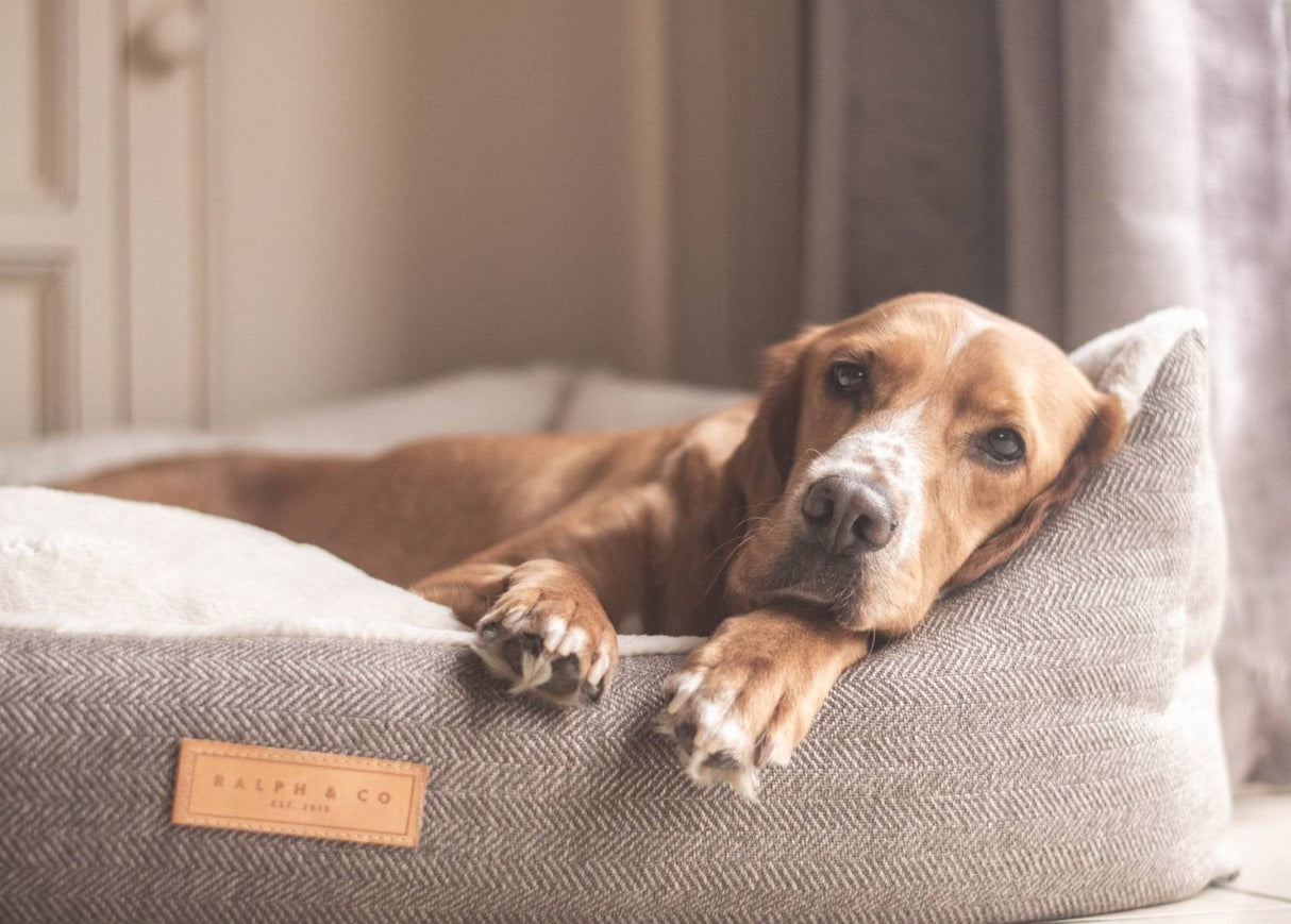 Ralph & Co Lincoln Luxury Tweed Dog Bed