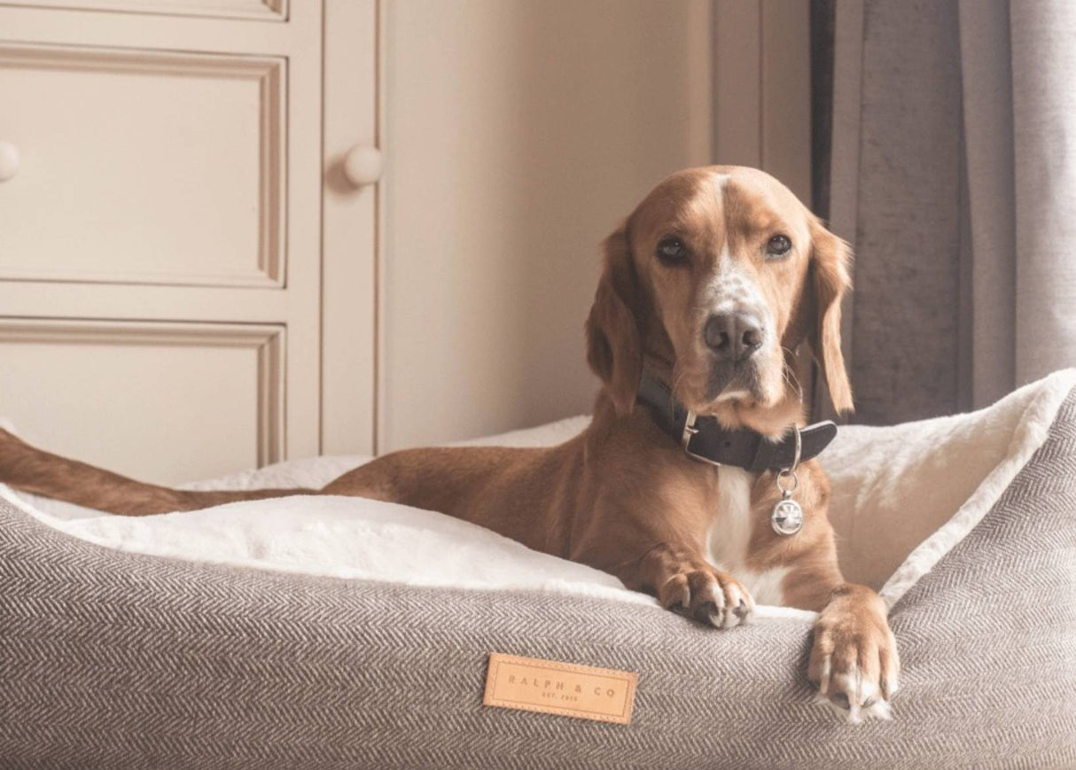 Ralph & Co Lincoln Luxury Tweed Dog Bed