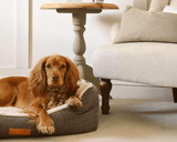 Ralph & Co Lincoln Luxury Tweed Dog Bed