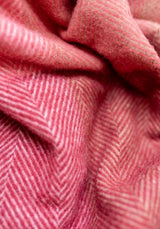 Casa by Josephine Jenno Lydia Autumn Plaid Throw Blanket