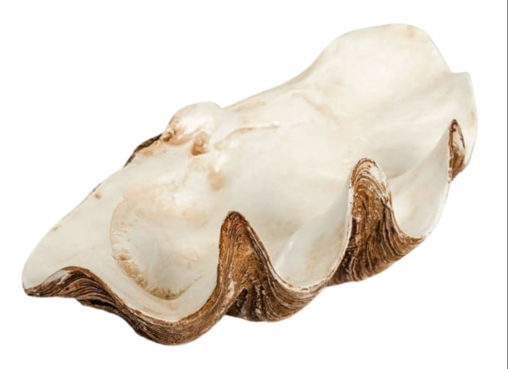 Casa by Josephine Jenno Marina Shell Bowl Pearl