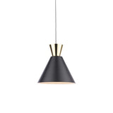 Pagazzi Matos Funnel Black & Gold Shade