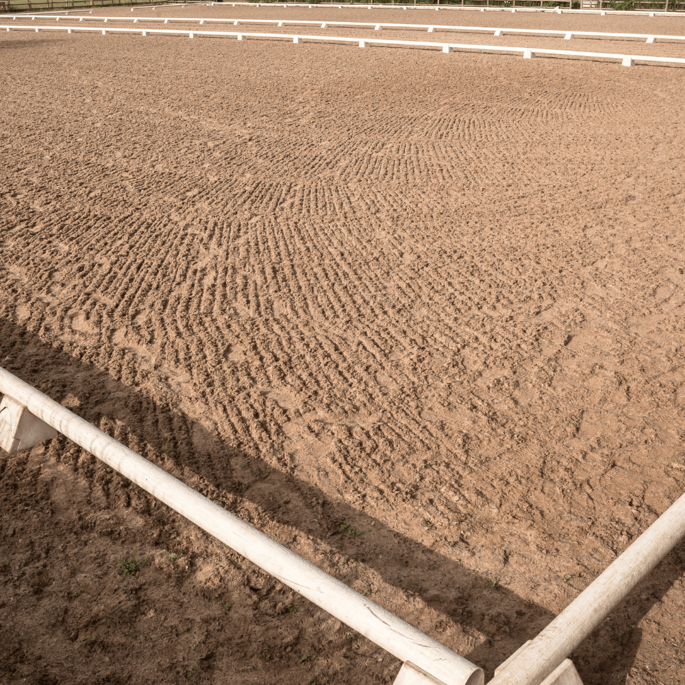 Dandy's Horticultural Silica Sand