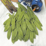 AllotMate Essentials RHS Pea Mangetout Delikata Seeds – AGM Variety