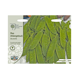 AllotMate Essentials RHS Pea Mangetout Delikata Seeds – AGM Variety