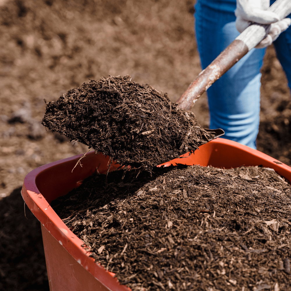 Dandy’s Soil Improver & Conditioner