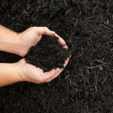 Dandy’s Multi‑Purpose Welsh Compost