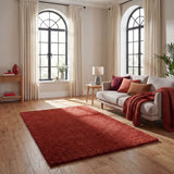 Myshaggy Solid Terra Rug by The Rugs