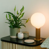 Tala Knuckle Table Lamp in Walnut with Sphere IV