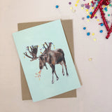 Birthday Moose Greetings Card | Katie Hipwell Design