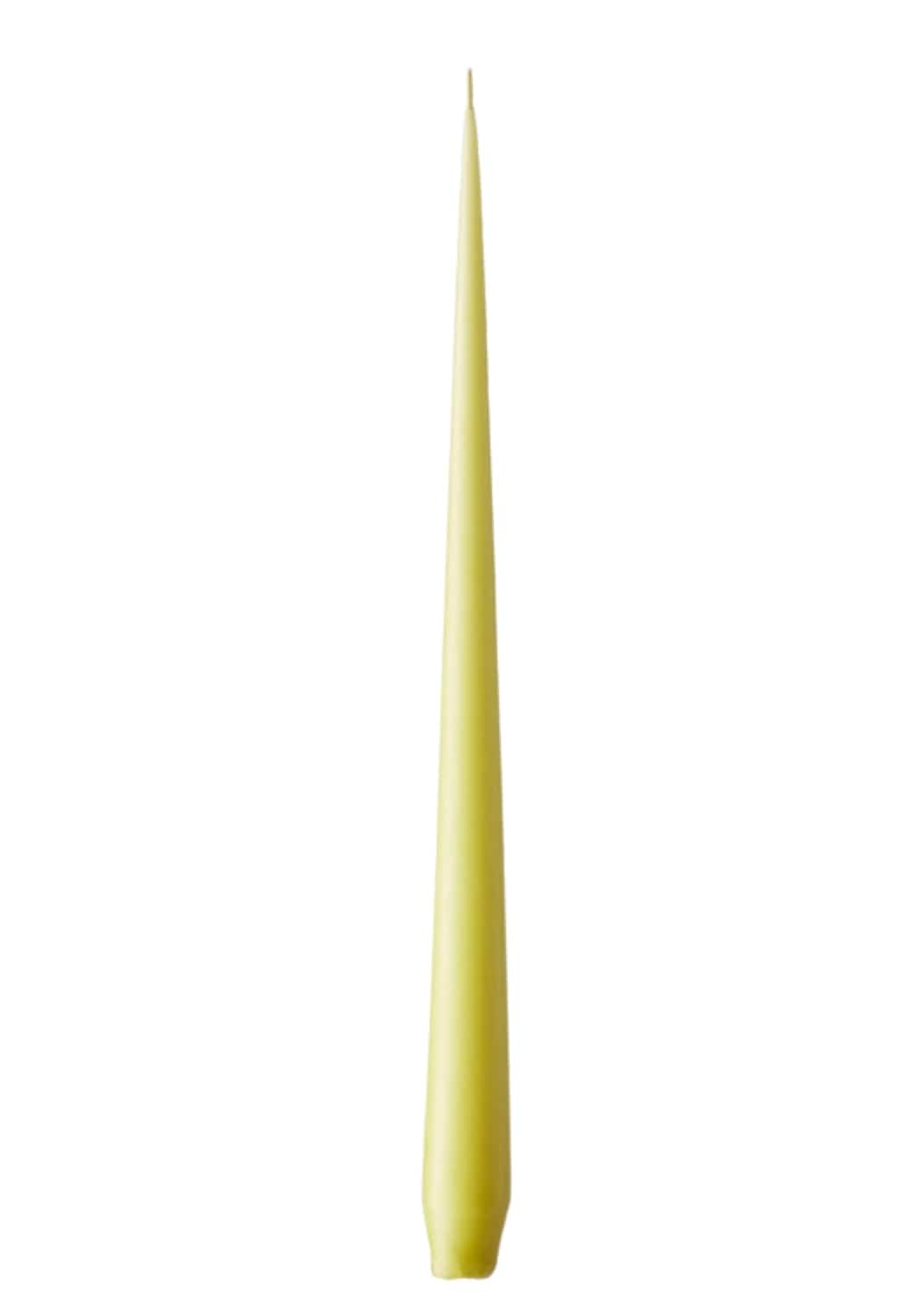 Olivia's Wasabi Large Taper Candles by Casa by Josephine Jenno