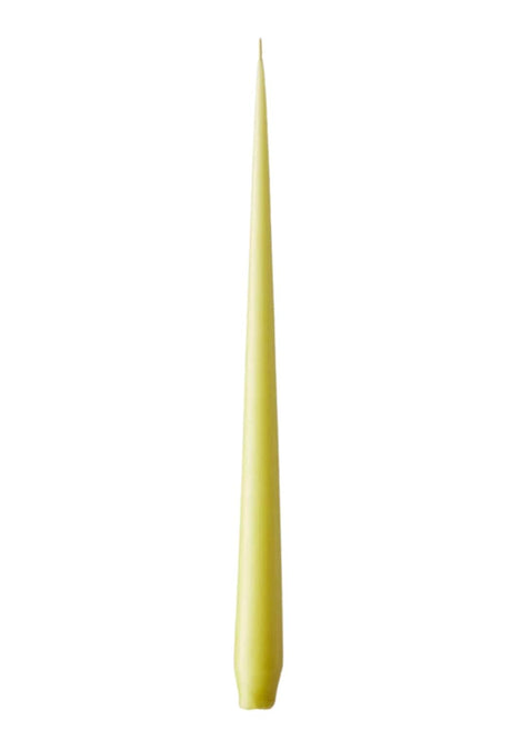 Olivia's Wasabi Large Taper Candles by Casa by Josephine Jenno