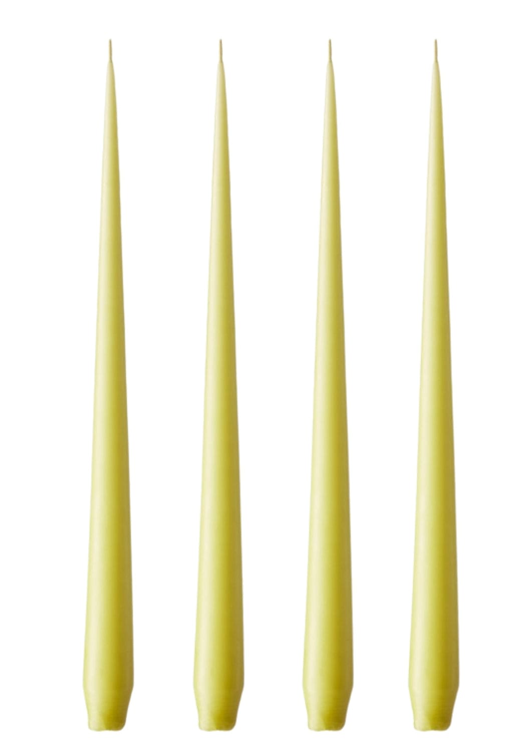 Olivia's Wasabi Large Taper Candles by Casa by Josephine Jenno