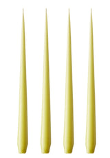 Olivia's Wasabi Large Taper Candles by Casa by Josephine Jenno