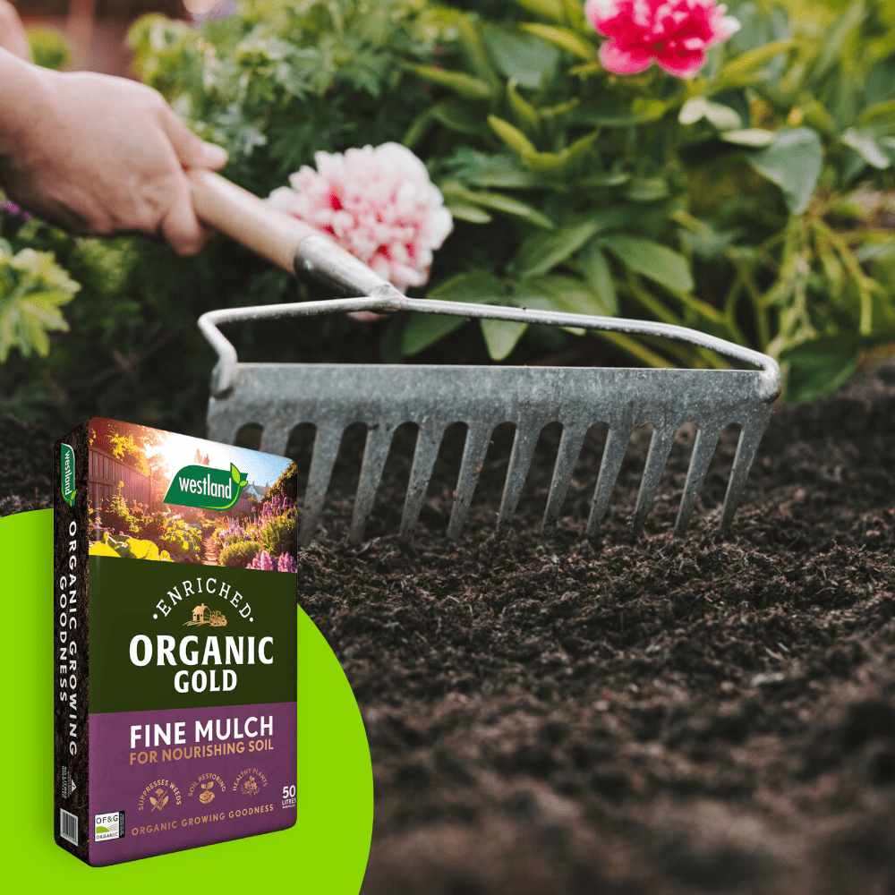 Dandy's Organic Gold Fine Mulch 50Ltr Bulk Buy