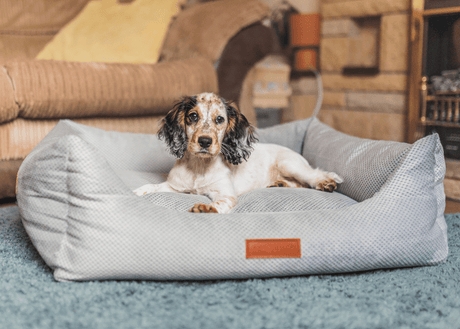 Ralph & Co Highclere Luxury Memory Foam Dog Bed