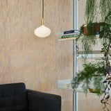Tala Oval II Pendant Light in Graphite