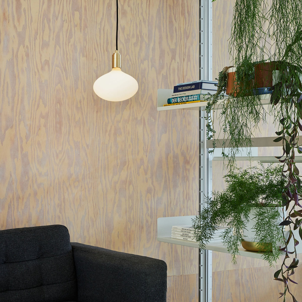 Tala Oval II Pendant Light in Brass