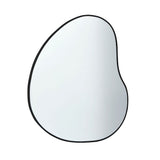 Pagazzi Koya Blob Mirror