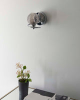 Pagazzi Twine Polished Chrome Wall Light