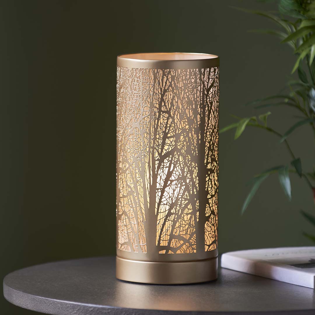 Pagazzi Mason Antique Brass Touch Table Lamp