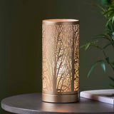 Pagazzi Mason Antique Brass Touch Table Lamp