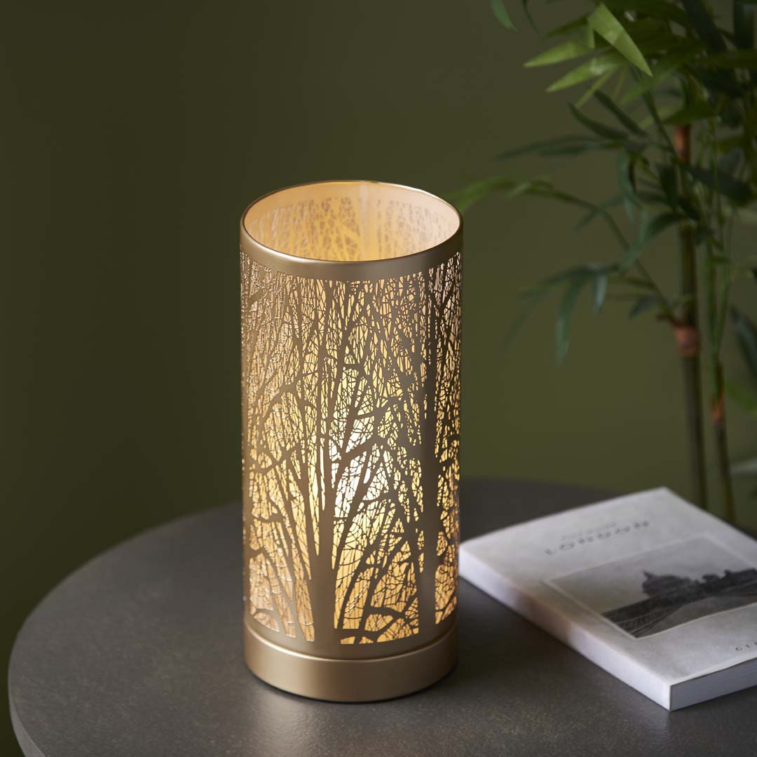 Pagazzi Mason Antique Brass Touch Table Lamp