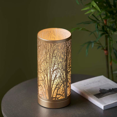 Pagazzi Mason Antique Brass Touch Table Lamp