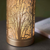 Pagazzi Mason Antique Brass Touch Table Lamp
