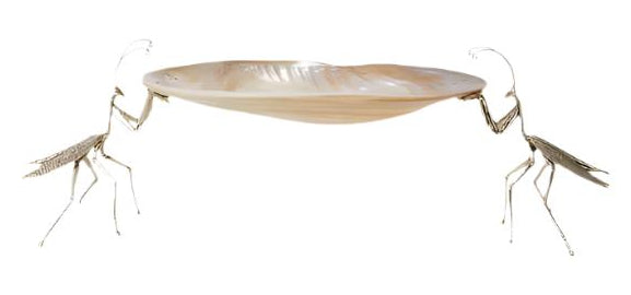 Casa by Josephine Jenno Praying for Your Caviar Tray