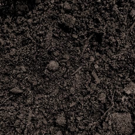 Dandy's Premium Multi Purpose Compost 0–10mm