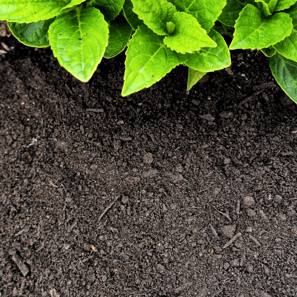 Dandy's Premium Multi Purpose Compost 0–10mm