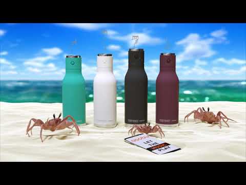 Asobu Wireless Stainless Steel Double Walled Speaker Bottle, Burgundy, 500ml